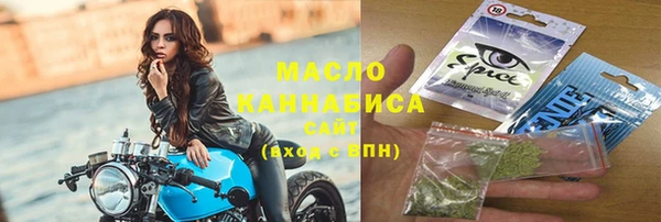 молекула духа Пестово
