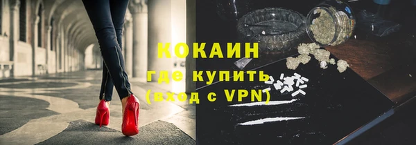 трава Пересвет