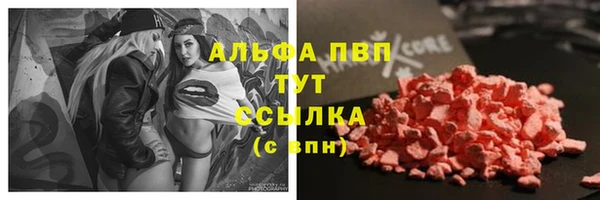 трава Пересвет