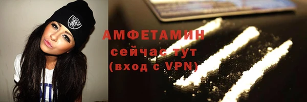 трава Пересвет