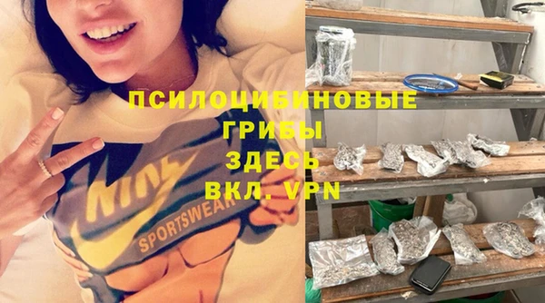 молекула духа Пестово