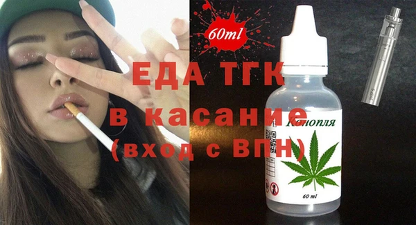 молекула духа Пестово