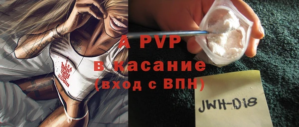 молекула духа Пестово