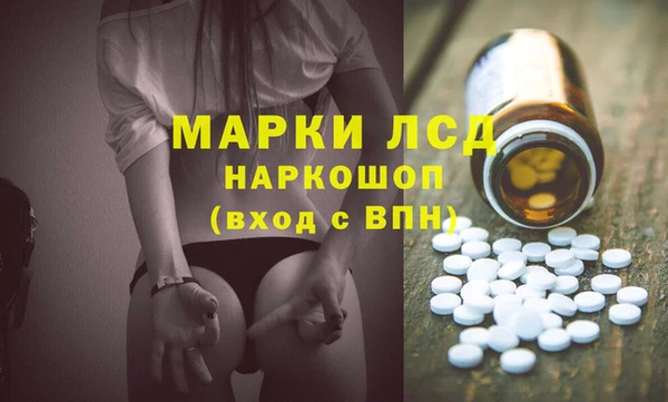 трава Пересвет