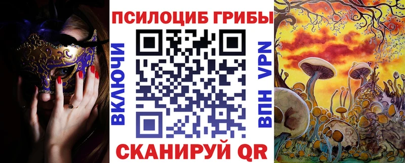 Псилоцибиновые грибы Psilocybe  Купить где  Темрюк 