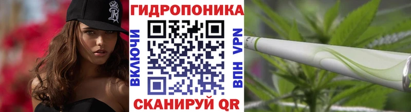 Шишки марихуана индика  Купить где  Темрюк 